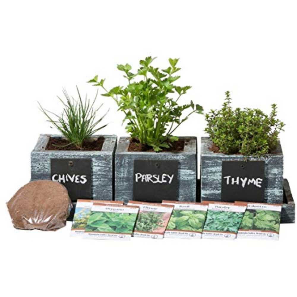 🆕Herb Garden Kit